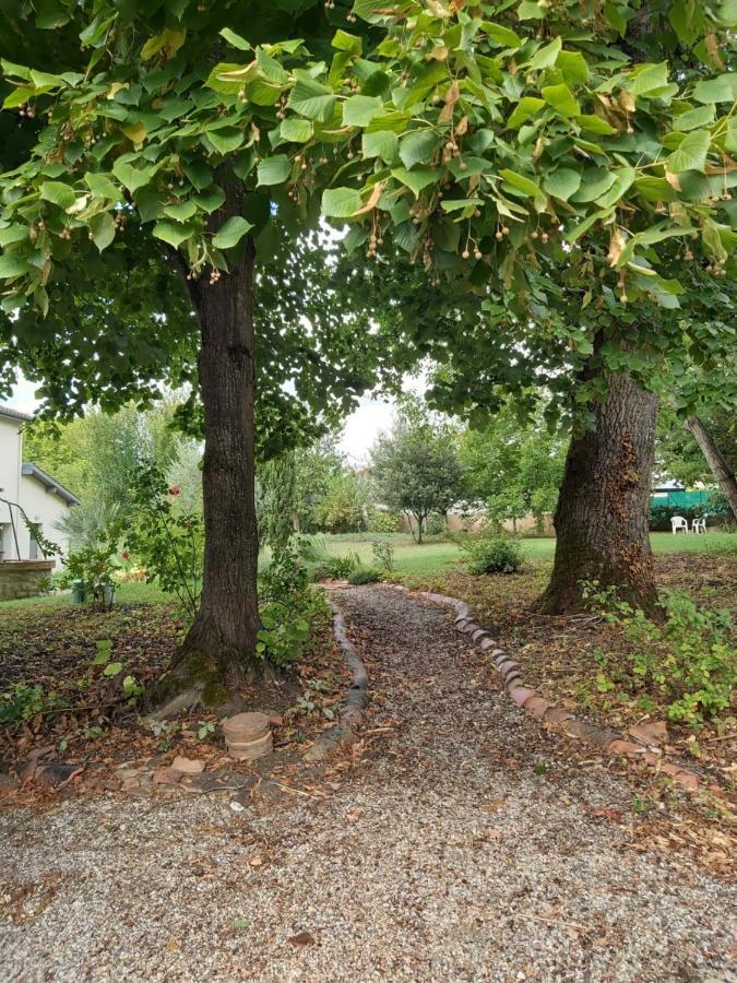 O Nature Cheris Mes Voeux Avant Qu'Ils S'Enfuient Francescas Exterior foto